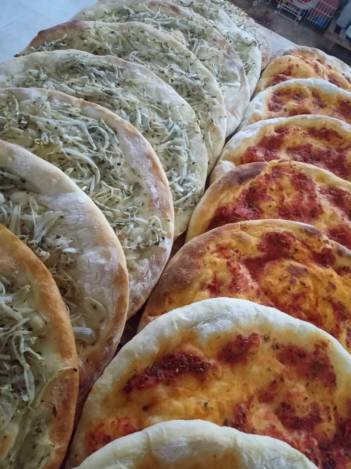 Hileras de prepizzas con salsa y de cebolla recién horneadas